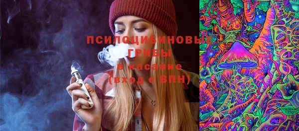spice Краснослободск