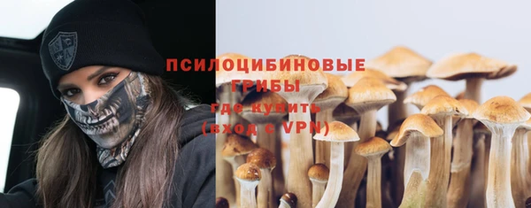 шишки Кукмор
