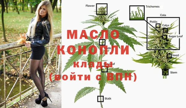 сатива Краснотурьинск