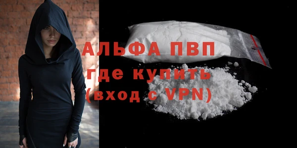 спиды Ладушкин