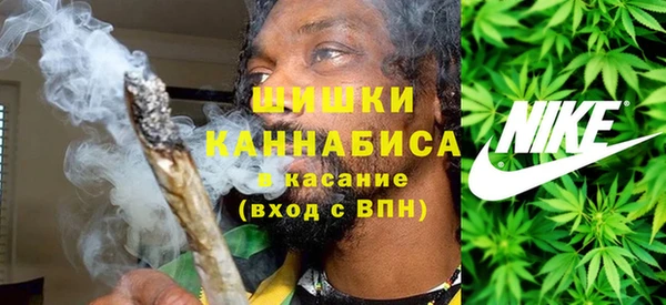 шишки Кукмор