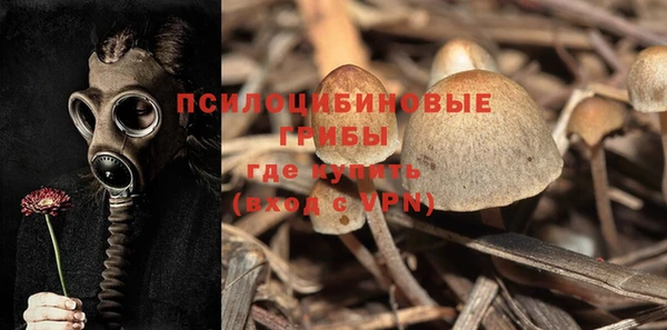 spice Краснослободск