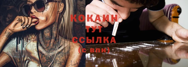 шишки Кукмор