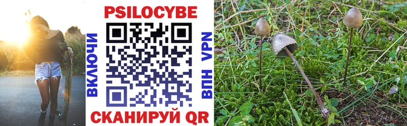 Псилоцибиновые грибы Magic Shrooms  купить закладку  Лабинск 