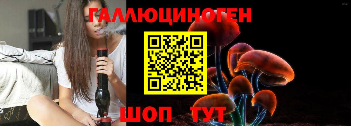 Псилоцибиновые грибы Psilocybine cubensis Лабинск